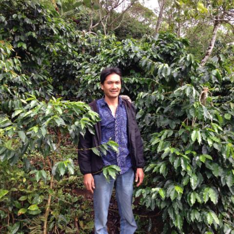 【SINGLE】インドネシア マンデリン アチェ アルールバダ