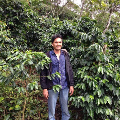 【SINGLE】インドネシア マンデリン アチェ アルールバダ