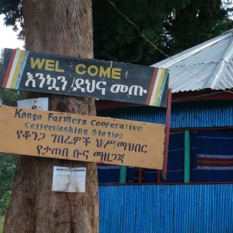 【MAKEYOURBLEND】エチオピア イルガチェフG1 コンガ ウォッシュド(生豆10g単位)