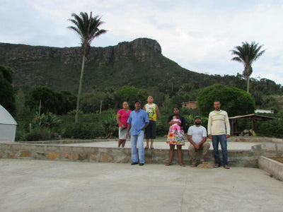 【MAKEYOURBLEND】ブラジル サントアントニオ プレミアムショコラ(生豆10g単位)