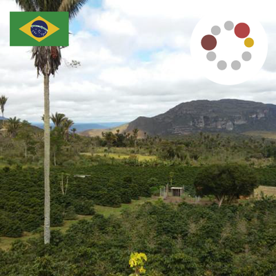 【MAKEYOURBLEND】ブラジル サントアントニオ プレミアムショコラ(生豆10g単位)