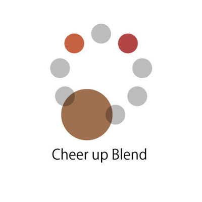 Cheer up Blend （タンザニア20：インドネシア40：コロンビア40）