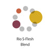 Rio S-Flesh Blend （タンザニア30：インドネシア50：コロンビア20）