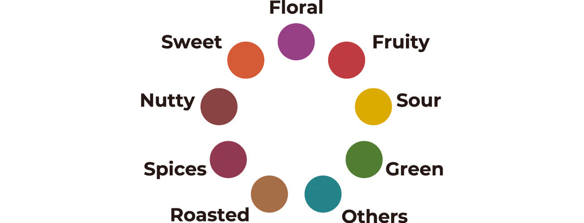 コーヒーを「色」で表現： COFFEE&CO.のロゴデザインについて