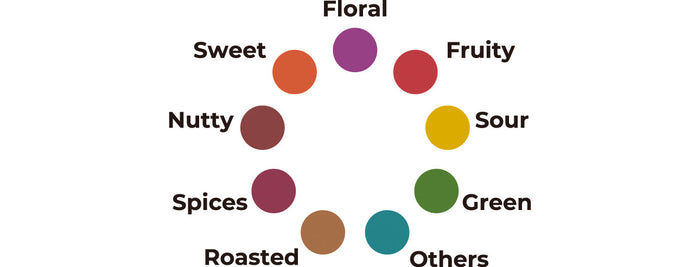 コーヒーを「色」で表現： COFFEE&CO.のロゴデザインについて