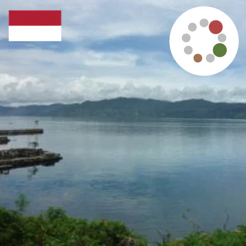 せっかくだからBlend （タンザニア30：インドネシア10：コロンビア60）