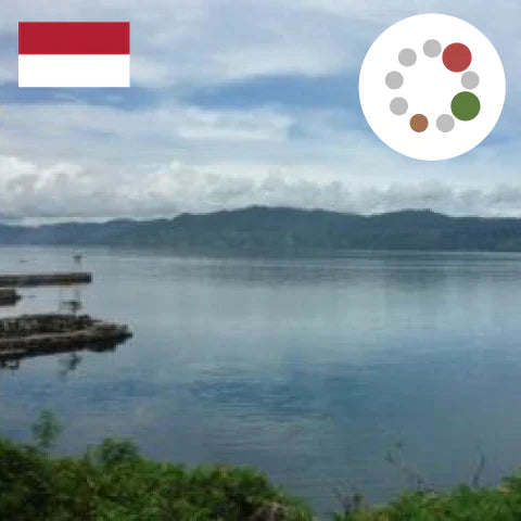 まいっちんぐぶれんど （タンザニア70：インドネシア30）