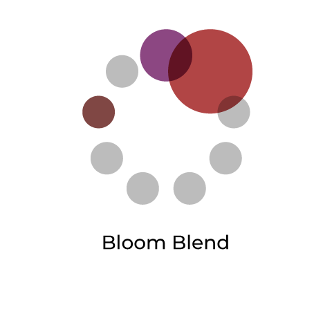 Bloom Blend （タンザニア35：エチオピアWS65）