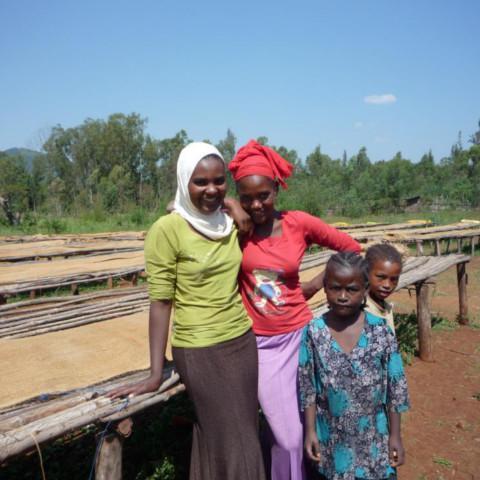 【MAKEYOURBLEND】エチオピア イルガチェフG1 コンガ ウォッシュド(生豆10g単位)