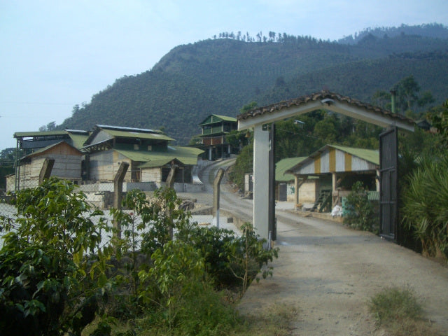 【MAKEYOURBLEND】グアテマラ ウエウエテナンゴ(生豆10g単位)