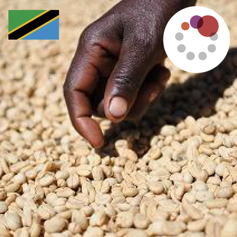 Choco Mania Blend （タンザニア 30：インドネシア 50：コロンビア 20）