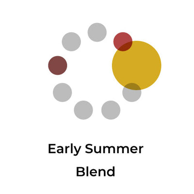 Early Summer Blend （タンザニア50：エチオピア50）