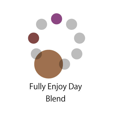Fully Enjoy Day Blend（タンザニア5：インドネシア25：コロンビア70）