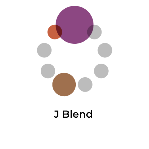 J Blend （タンザニア60：インドネシア20：コロンビア20）