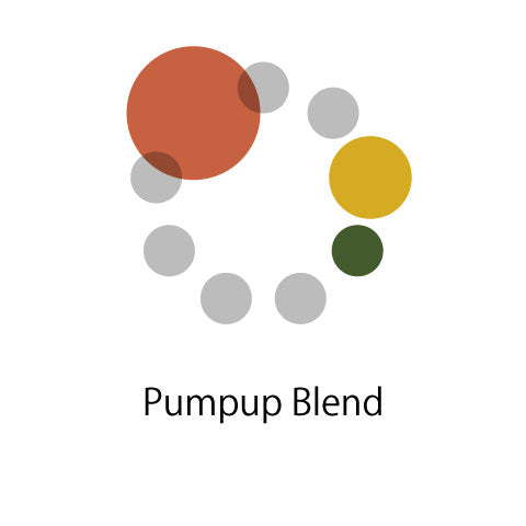 Pumpup Blend（タンザニア5：インドネシア80：コロンビア15）