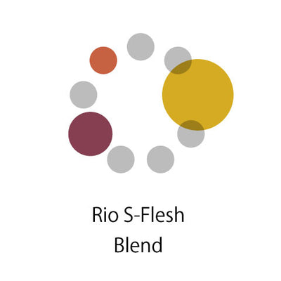 Rio S-Flesh Blend （タンザニア30：インドネシア50：コロンビア20）