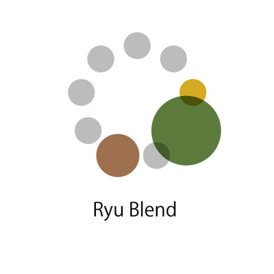 Ryu Blend （タンザニア20：インドネシア40：コロンビア40）