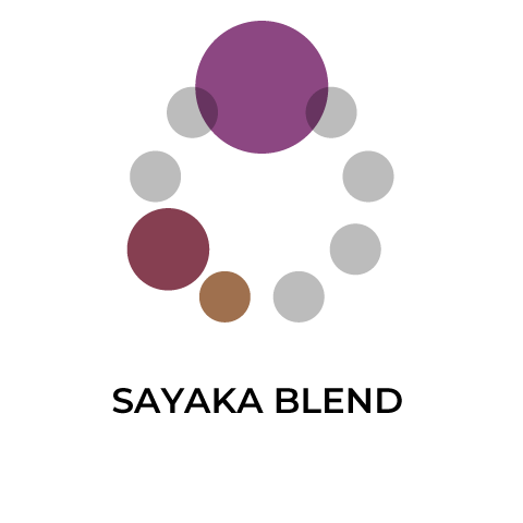 咲花 Blend （タンザニア 40：インドネシア 40：コロンビア 20）