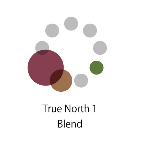 True North 1 Blend（タンザニア5：インドネシア60：コロンビア35）