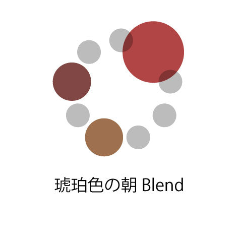 琥珀色の朝Blend （タンザニア10：コロンビア90）