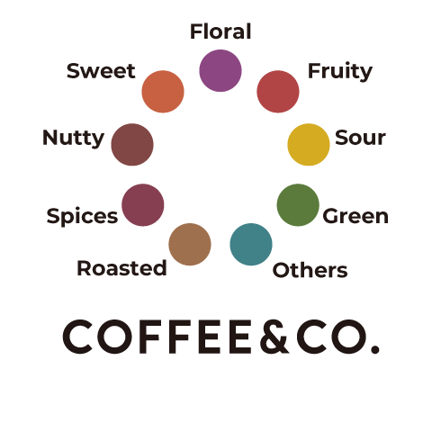 kopi saya blend （タンザニア30：インドネシア40：コロンビア30）