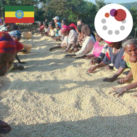 Parista  Blend （タンザニア 60：エチオピア 20：ケニア 20）