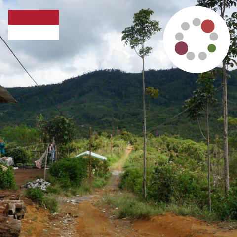 【SINGLE】インドネシア マンデリン アチェ アルールバダ