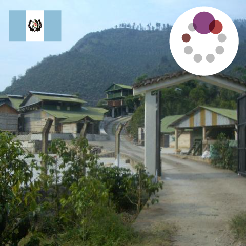 【MAKEYOURBLEND】グアテマラ ウエウエテナンゴ(生豆10g単位)