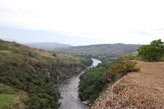 【SINGLE】コロンビア マグダレナ SUP