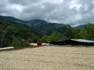 【MAKEYOURBLEND】コロンビア マグダレナ SUP(生豆10g単位)