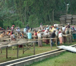 【SINGLE】エチオピア イルガチェフG1 ベレカ ウォッシュド